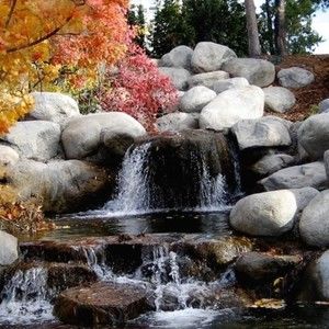 Meet your Posher, Claudia